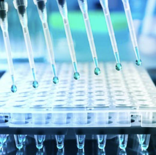 Meta nużaw pjanċi PCR u meta nużaw tubi PCR?