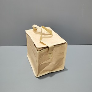 Pielāgota EcoCooler Bag Tyvek auduma pārtikas dzesētāja soma piegādes pakalpojumam vai aukstās ķēdes ACD-CW-004