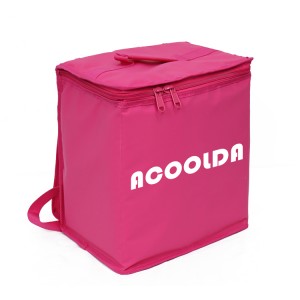 Pabrik OEM/ODM China Waterproof Foldable Take-out Food Delivery Bag Insulated Custom Thermal Bag 25L ACD-B-041