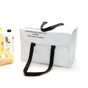 Customized PP Fabric Cooler Bag Kapasitas Gedhe karo ACD-W23-001