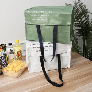 ACD-W23-001 ပါသော ပမာဏကြီးမားသော PP Fabric Cooler Bag စိတ်ကြိုက်ပြုလုပ်ထားသည်။