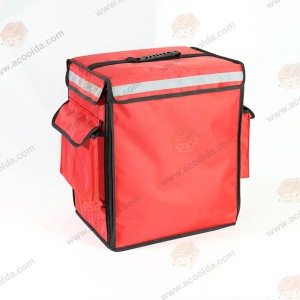OEM/ODM Manufacturer China Custom Fitness Insulated Thermal Lunch Pizza Food Delivery Cooler Bags