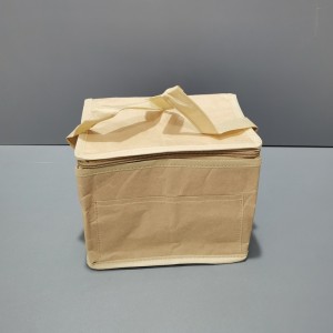 Isingxobo se-EcoCooler esilungiselelweyo iTyvek Fabric Food Cooler Bag yeNkonzo yokuhanjiswa okanye iCold Chain ACD-CW-004