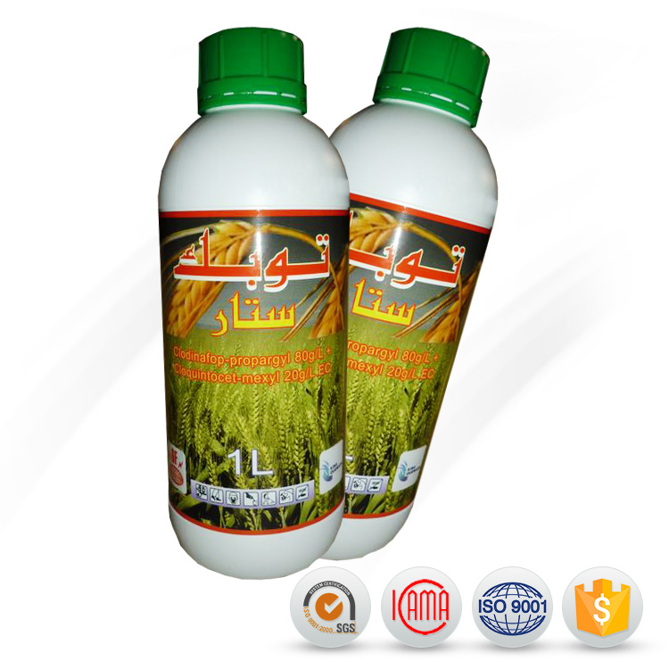 Factory Price Agrochemicals Pesticide Clodinafop-propargyl 24% EC for Hot Sale