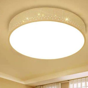 Round Simple Ceiling Lights Dimming Ceiling LED Lamps for Restaurante