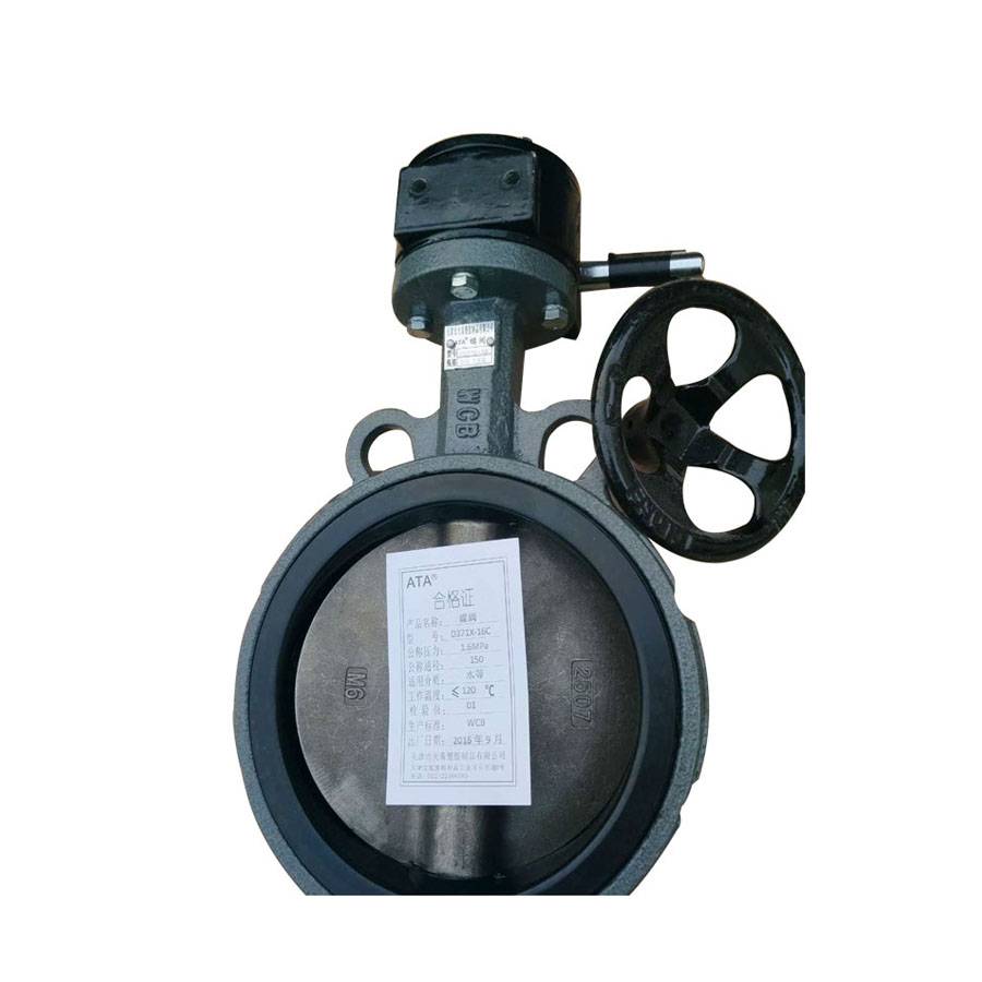 OEM/ODM Factory Low Price Brass Angel Valve - Cast Iron Butterfly valve Worm Gear type – DA YU PLASTIC