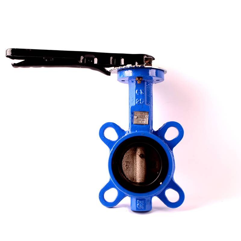 OEM Customized Threaded Union Type - Cast Iron butterfly valve wafer type – DA YU PLASTIC