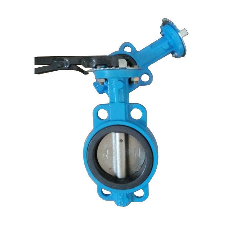 Discount wholesale Top Entry Trunnion Ball Valve - Cast Iron butterfly valve – DA YU PLASTIC