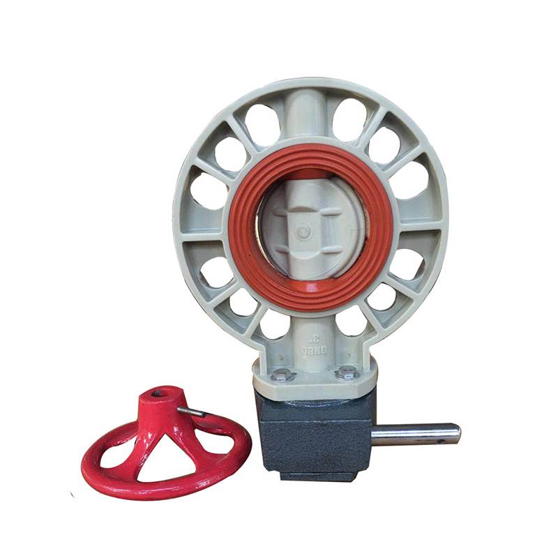 Factory Price For Pipe Fitting Elbow With Clamp End - PPH butterfly valve FPM VITON lined – DA YU PLASTIC