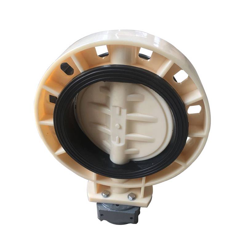 Factory made hot-sale Cast Steel Bal Valve - ABS butterfly valve Worm gear type – DA YU PLASTIC