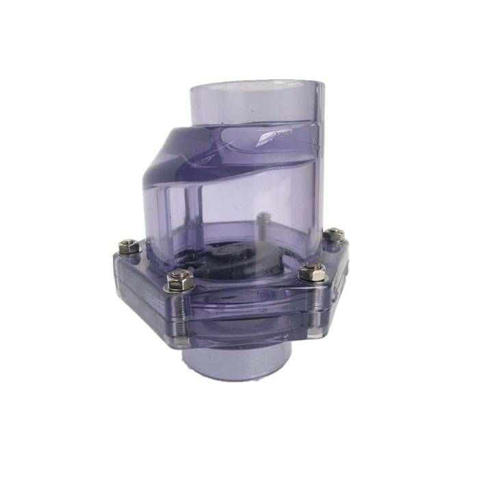 China Factory for Malleable Iron Pipe Fittins - DN40 50mm socket transparent eccentric pvc clear swing check valve – DA YU PLASTIC