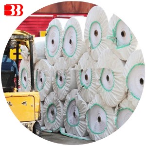 Customized China PP Woven Fabric in Roll