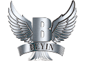 beyin logo