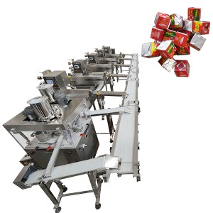 A well-known domestic company’s 1600pcs/min 4g tomato flavored cube pressing wrapping machine processing line