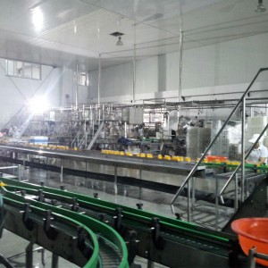 Canned Oranges Production Line Picture Show