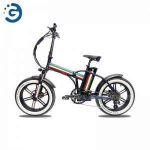 Chinese Factory F20 48V 750W REAR-DRIVE Fat Tyres Electric Bike