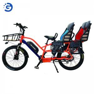 Chinese Factory Wholesaler Hot selling NEW Design TRI-CARGO II Cargo E-Bike with 2 battery