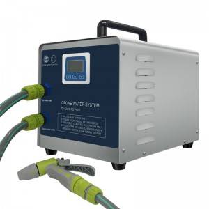 Portable ozone water system