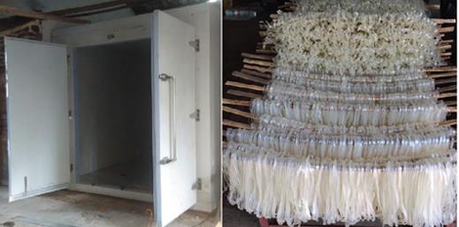 Choose Dryfree noodle dryer for your noodle drying