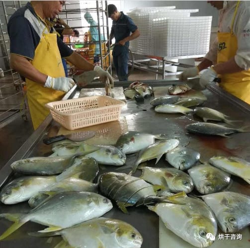 Drying of golden pomfret by drying process
