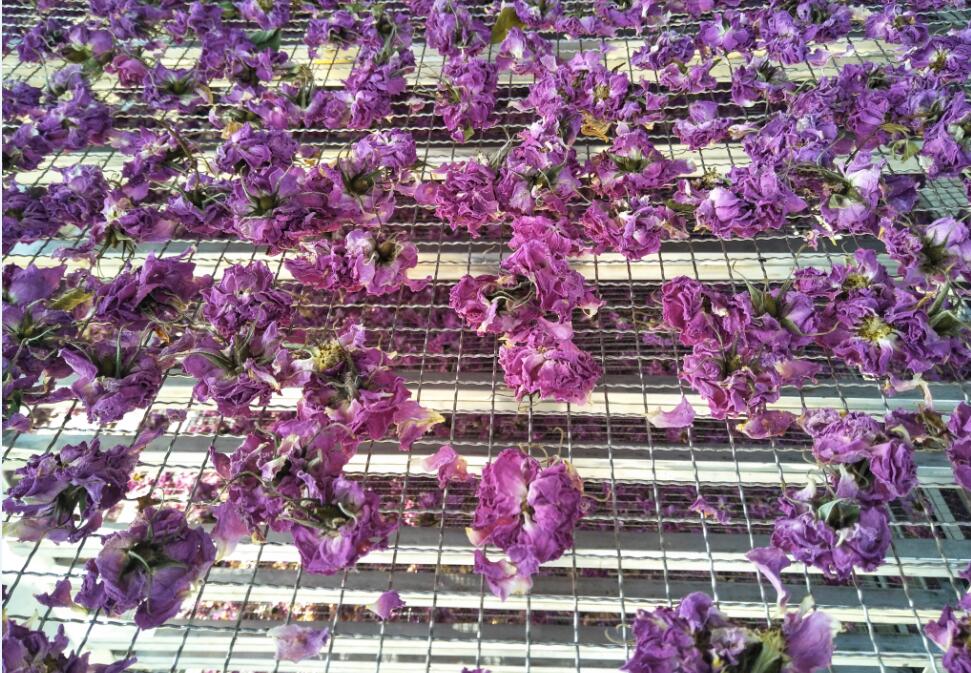 Rose drying and cell liquid recovery machine bring greater benefits to users