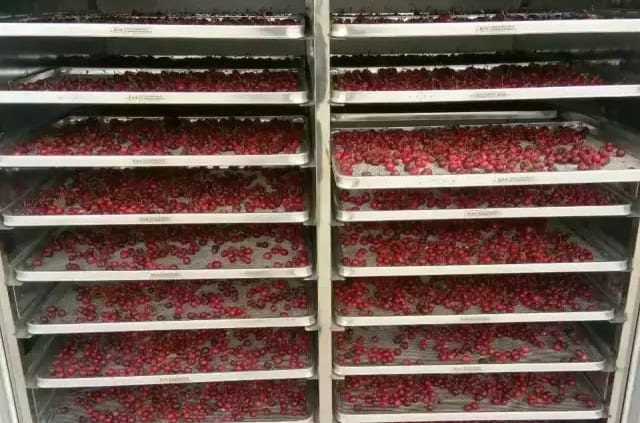 Cherry dryer process introduction