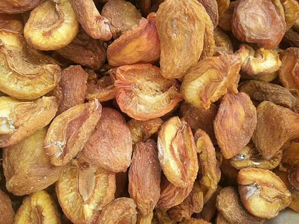 Dryfree successfully completed the drying of apricots