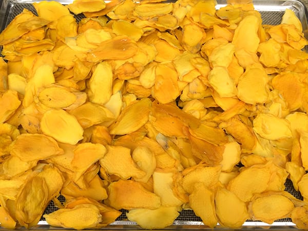 Drying process of mango drying