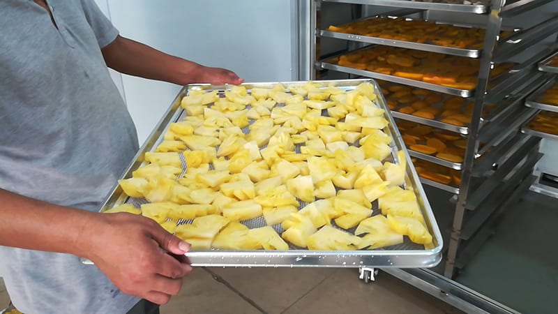 Introduction of dried pineapple drying process