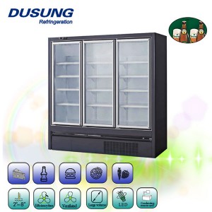 Plug in supermarket upright glass door freezer