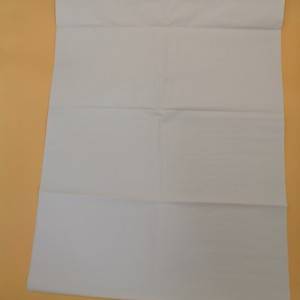 Manufacturing Companies for 14g 50*70cm Acid Free Mg White Packing Tissue Paper