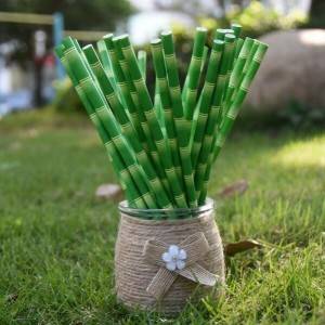 Environmental Friendly Bamboo Paper Straw