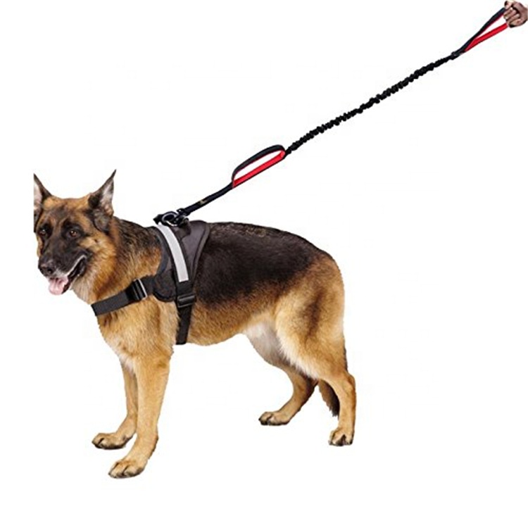Висувний безпечний довгий регульований важкий пружний еластичний світловідбиваючий ручок вільний повідок для собак