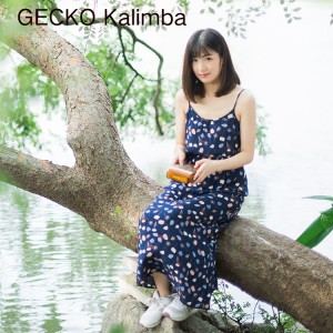 Best Price of China Factory 17 key kalimba GECKO Wooden Kalimba