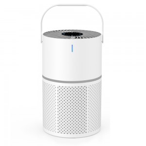 OEM Popular 2024 New Portable USB Air Purifier PM2.5 data High Quality H13 Hepa Filter