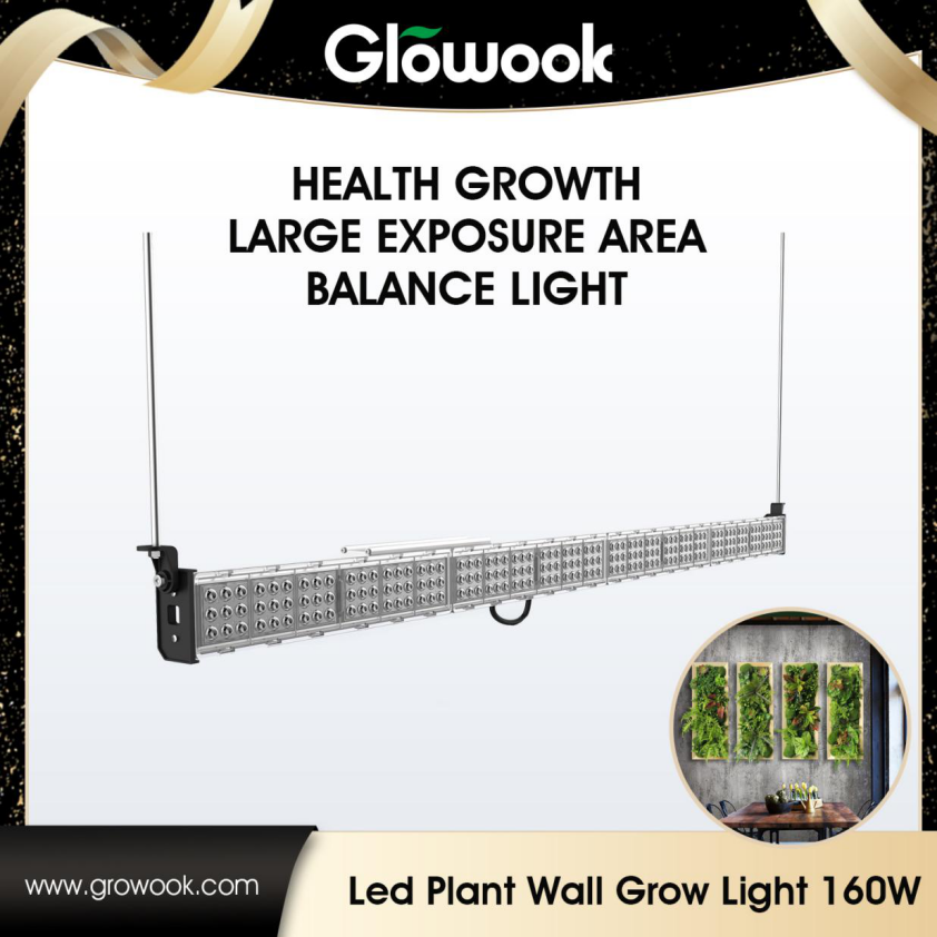 New Arrival : Led Plant Wall Grow Light