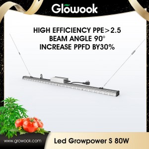 Factory directly supply Used Agricultural Greenhouses -
 LED Growpower S – Radiant
