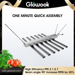 Professional ChinaLed Hydroponic System -
 LED Growpower 480W – Radiant