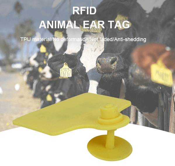 GSRFID supply RFID Animal Tags for Sichuan Government and Discuss Management Solution