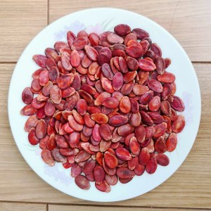 Discount Price Sunflower Seeds Exporter - Red Watermelon Seeds  – GXY FOOD
