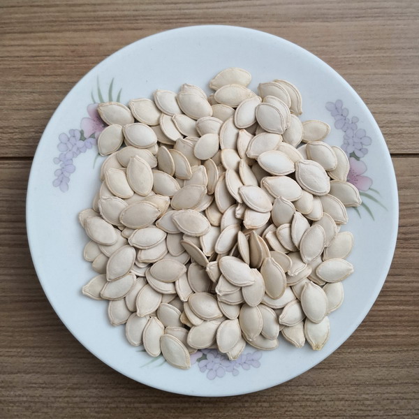 OEM/ODM China Sunflower Seeds Roaster Machine -
 Shine Skin Pumpkin Seeds  – GXY FOOD