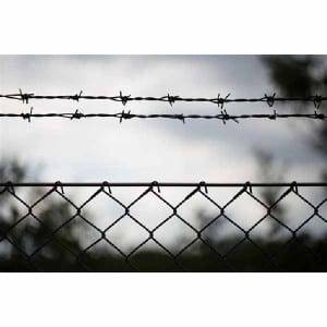 Factory Price Barbed Wire For Farme Fence - Barbed wire – YiTongHang