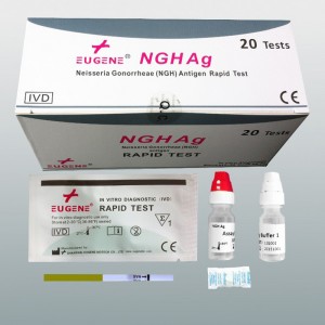 Neisseria Gonorrheae (NGH) Antigen Test