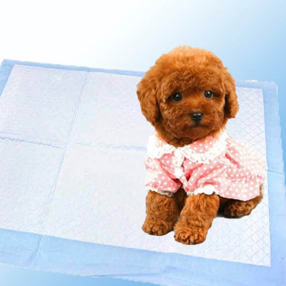 wholesales disposable nonwoven pet pads for dogs and cats