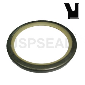 PIN DUST/SCRAPER RING VOE 11005017