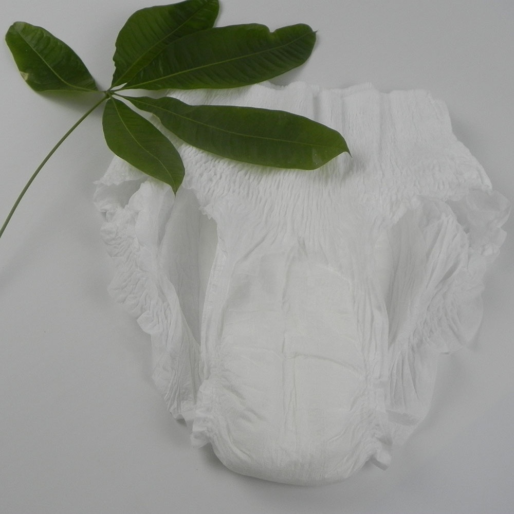 Premium Super Absorbent Ladies Disposable Panties Featured Image