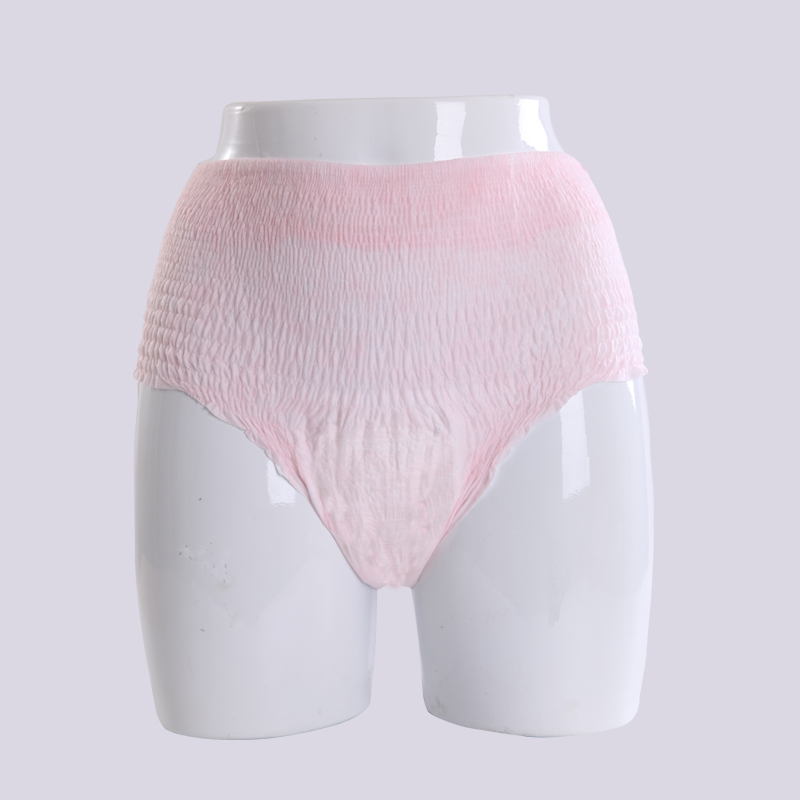 Female period pants disposable underwear women menstrual sanitary napkins