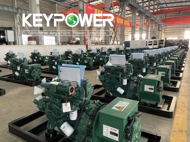 Another 44pcs of generators powered by Fawde engines, keypower alternator. 3 stacks loading—44pcs/40HC.