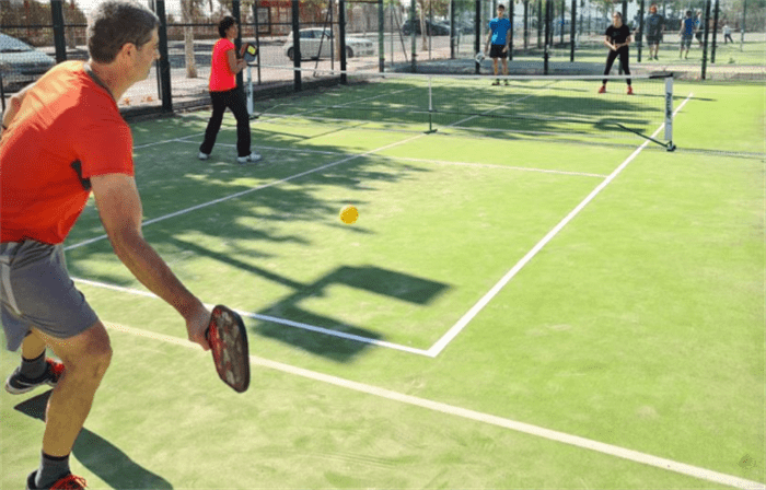 Know More About Pickleball