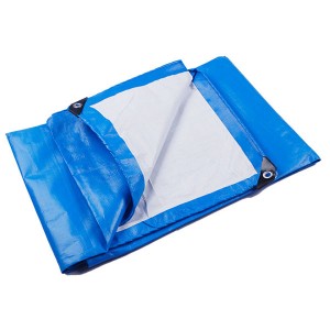 OEM manufacturer Pp Sack Bag - PE Tarpaulin – LGLPAK